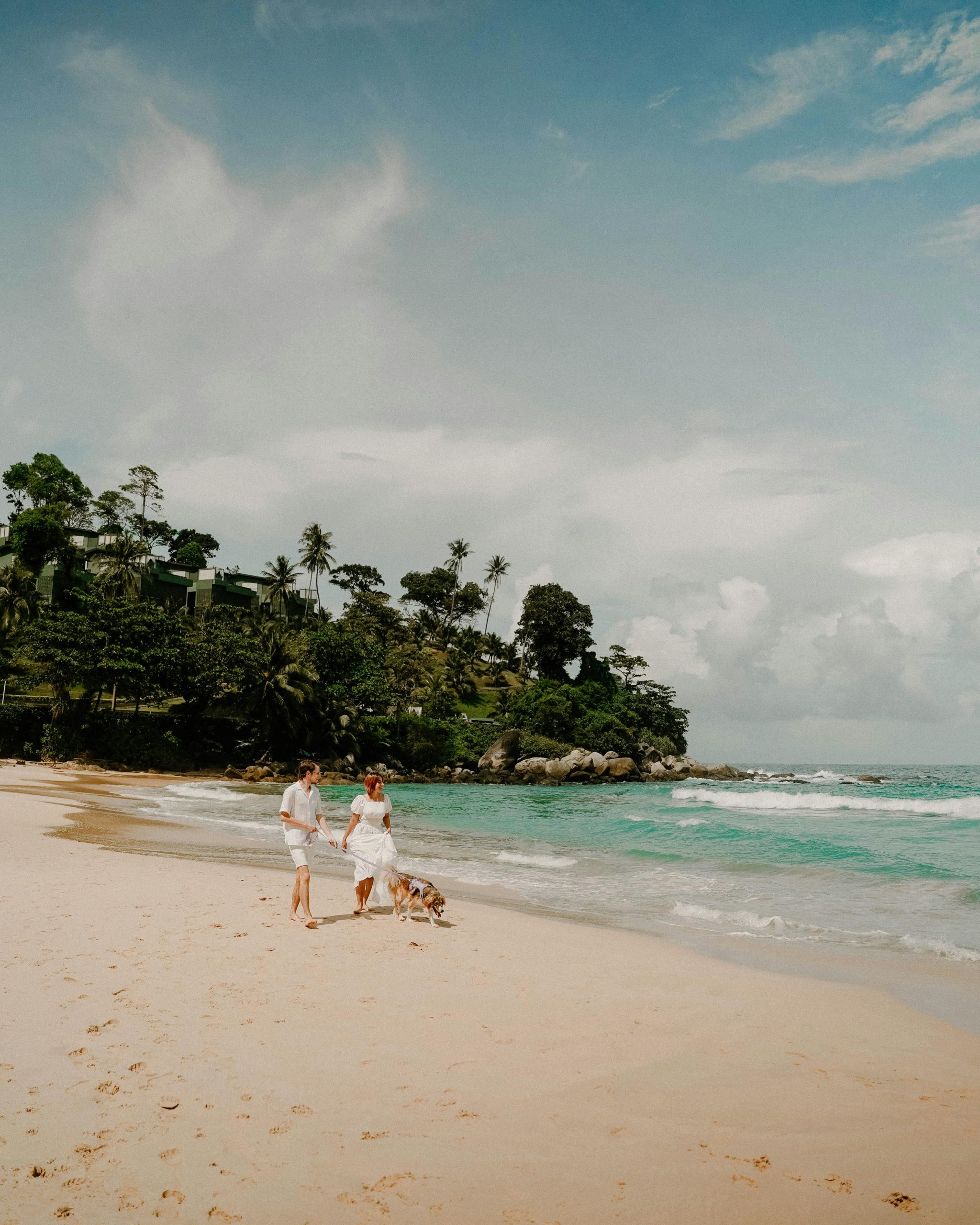 Romantic walk with a dog on a scenic tropical beach in Phuket, Thailand.