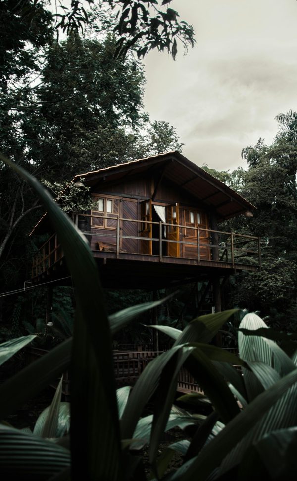 Charming wooden cabin surrounded by dense greenery, offering a tranquil nature retreat.
