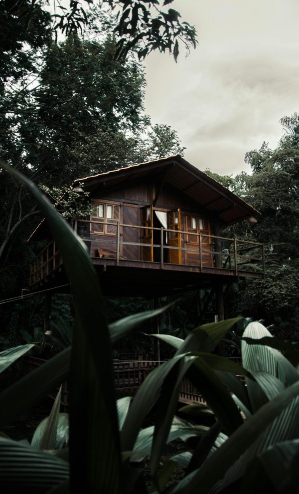 Charming wooden cabin surrounded by dense greenery, offering a tranquil nature retreat.